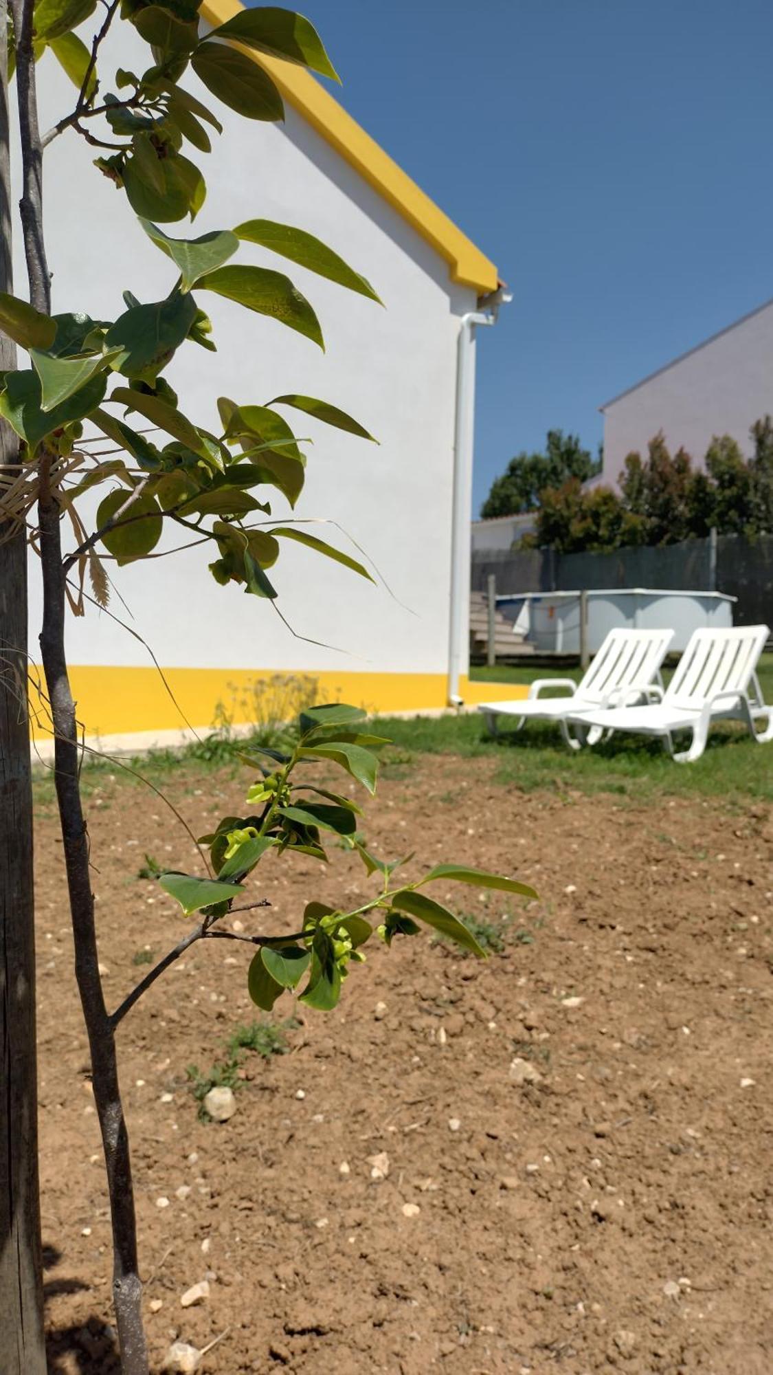 Casa Da Caroleira Villa Pacos  Buitenkant foto